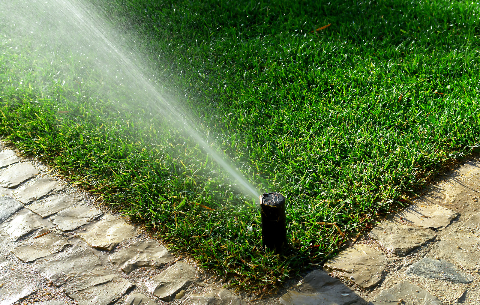 Lawn-Sprinklers