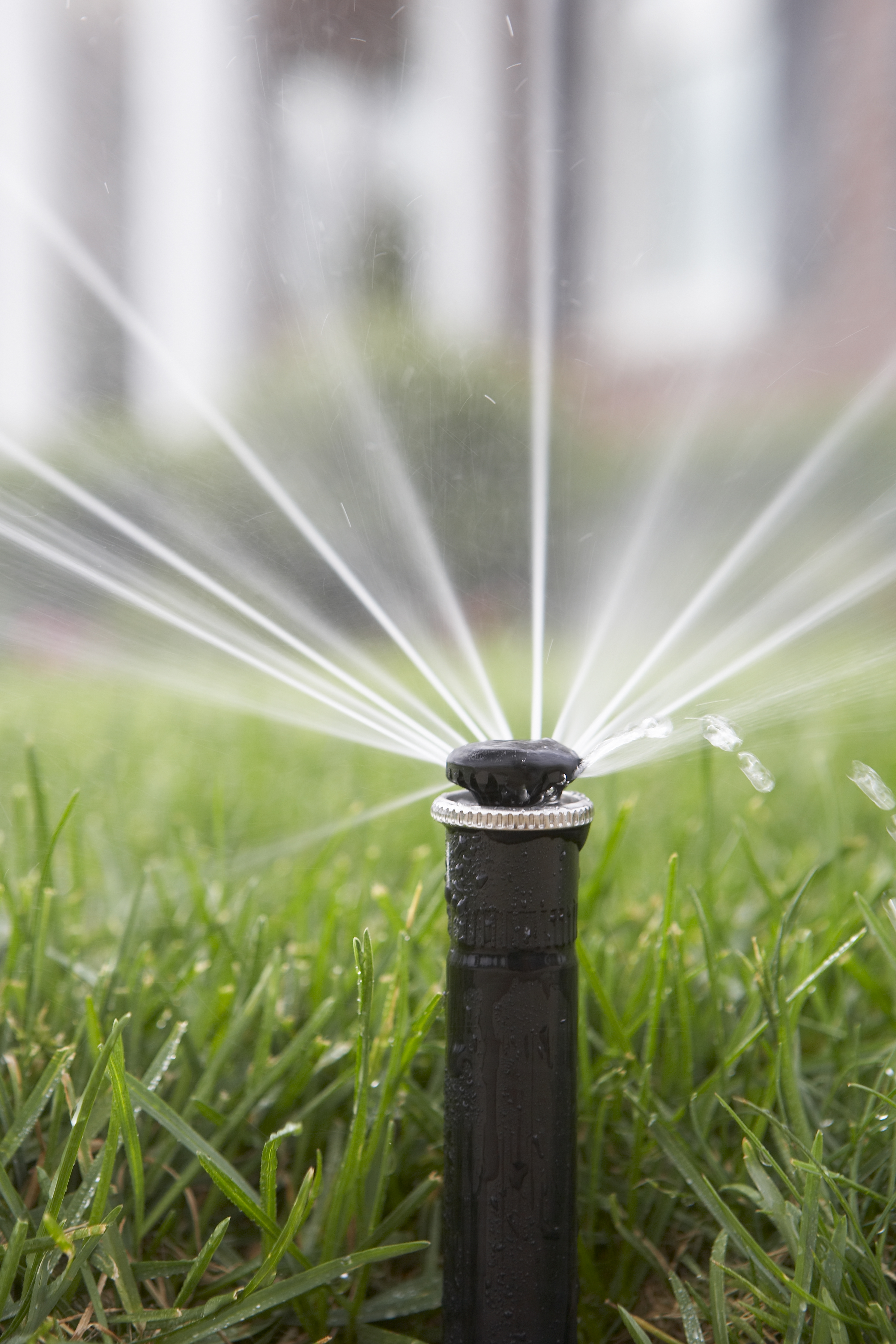 Sprinkler-Head-Up-Close Sprinkler-Head-Up-Close